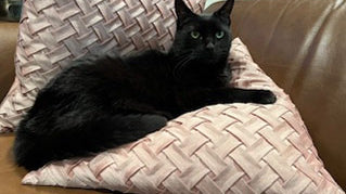 Spiritum – “The Inside Out View”